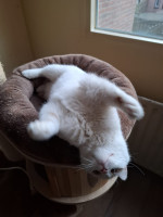 /album/26-02-2026/whatsapp-image-2026-02-26-at-17-53-46-jpeg/